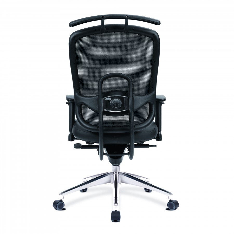 Freedom Mesh Ergonomic Office Chair